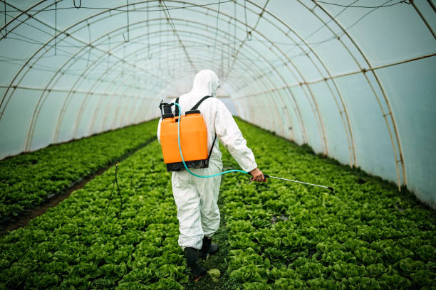 Best Pest Prevention Services  in Tome, NM