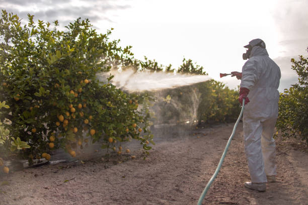 Best Commercial Pest Control Services  in Tome, NM