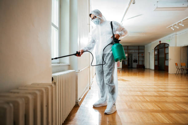 Best Rat Extermination Near Me  in Tome, NM