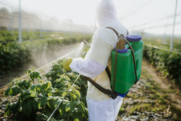 Best Best Pest Control Companies  in Tome, NM